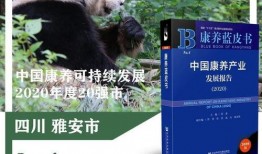 《20》在线观看